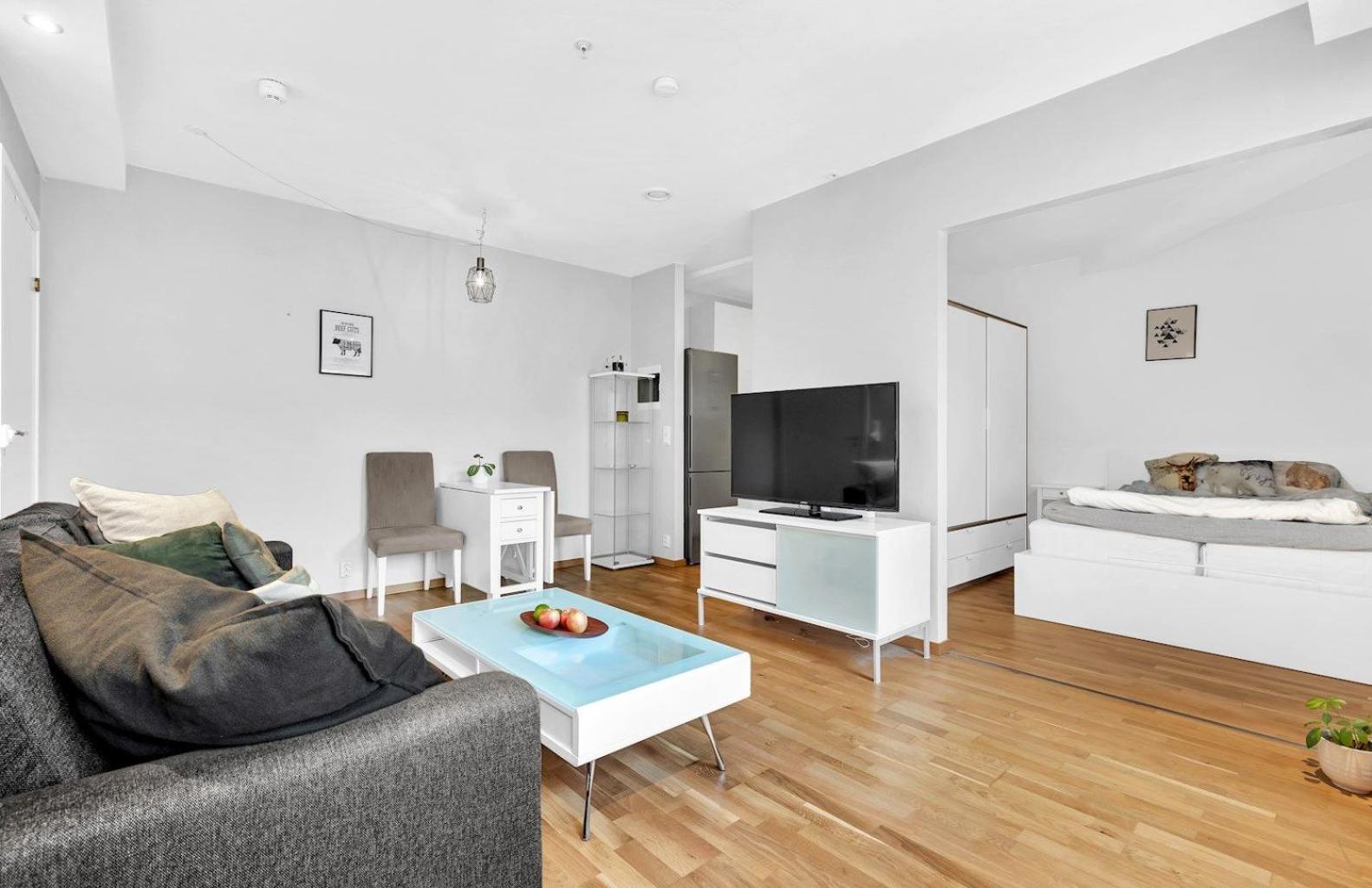 New Stuido Near Karl Johan Oslo